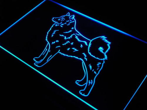 Finnish Spitz Dog Bar Beer Shop Neon Light Sign